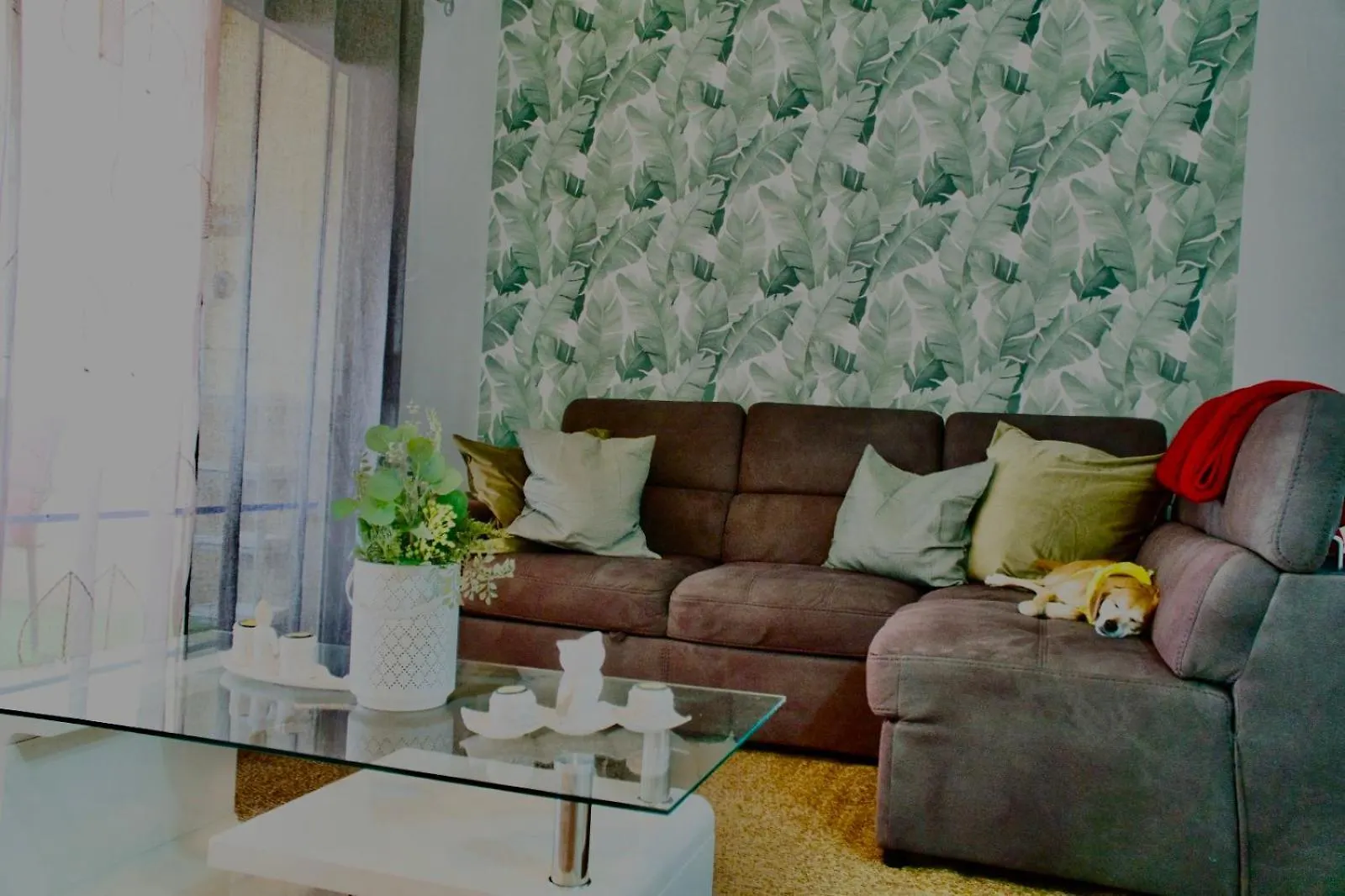 Heart And Soul Apartment San Miguel de Abona