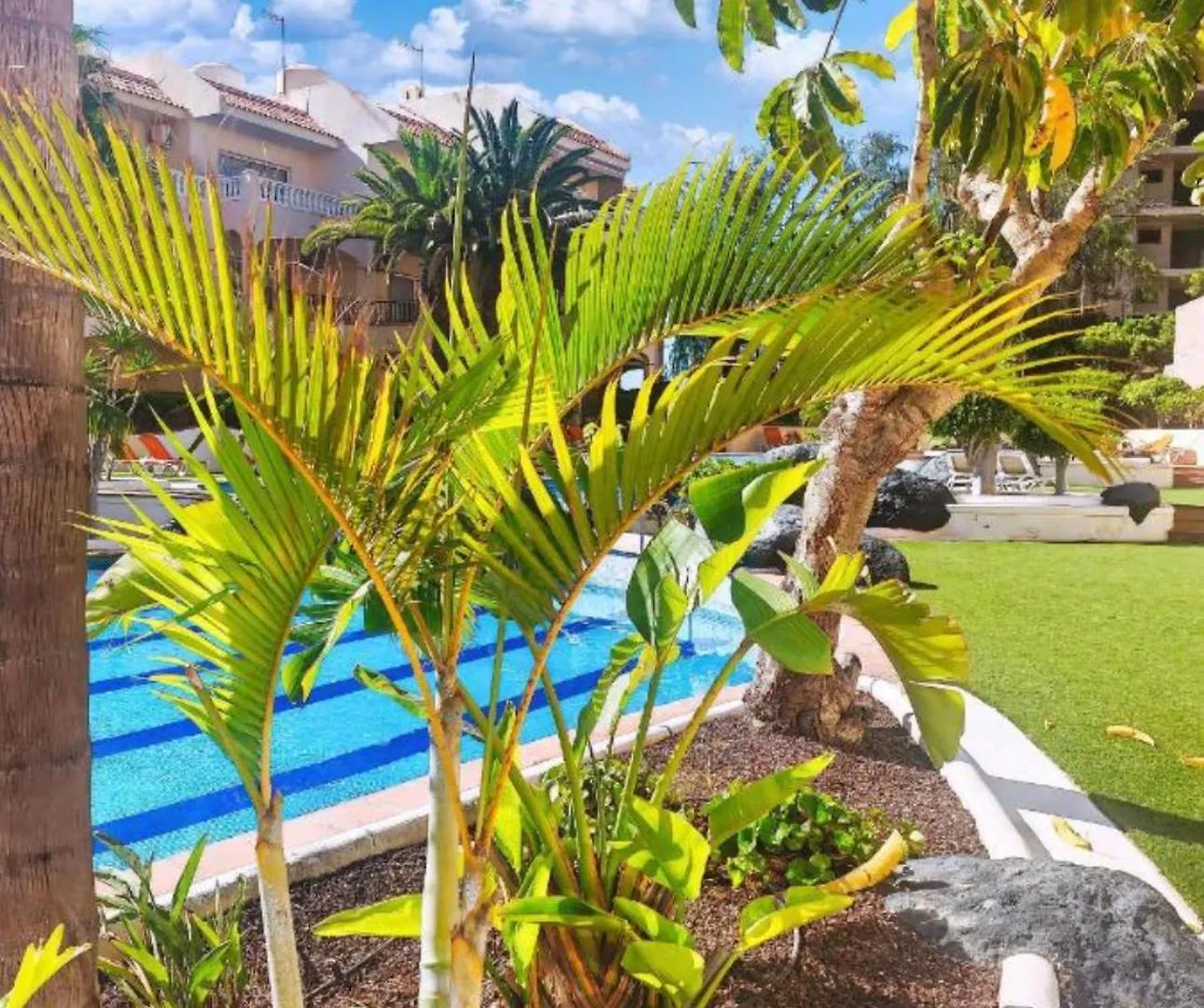 Heart And Soul Apartment San Miguel de Abona